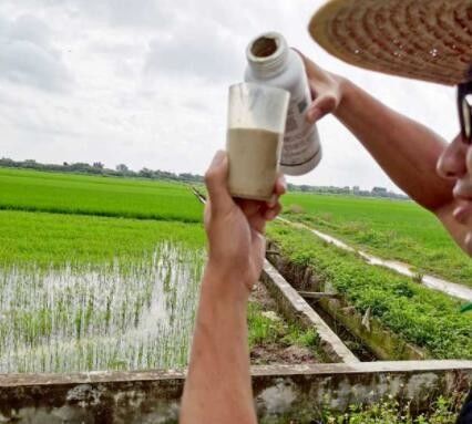 Fungicida agrícola do controle da explosão do arroz do SP de Validamycin A 20%